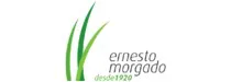 Cliente Visionsoft - Ernesto Morgado