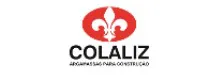 Cliente Visionsoft - colaliz